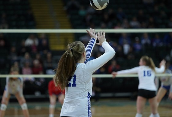 How to choose the perfect pair of volleyball shoes