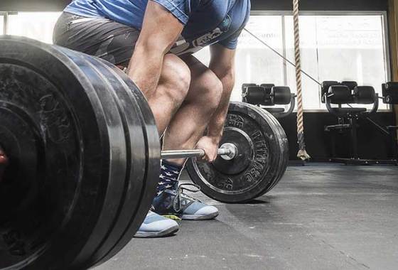 Best Olympic Bumper Plates