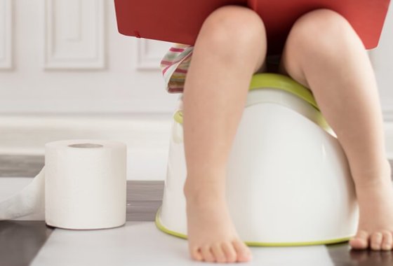 Best Training Potties