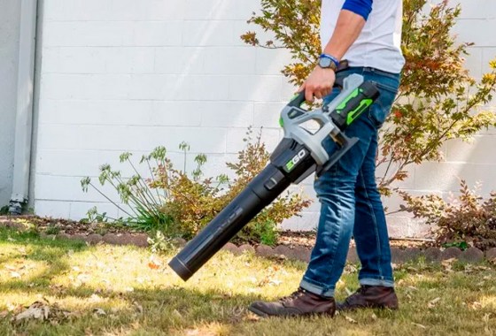 How to get rid of leaves without using a rake to give your muscles a break