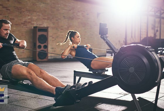 Best rowing machine under $500