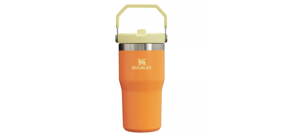 Stanley 20 oz Stainless Steel IceFlow Flip Straw Tumbler