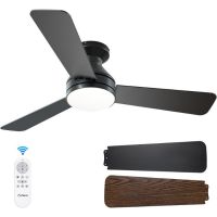 Amico Ceiling Fan with Lights