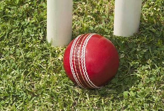 Best Cricket Balls