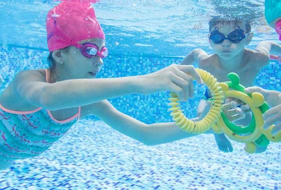 Best Swimming Pool Dive Toys