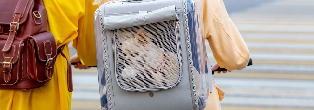 Margaret - Bouclé Wool Dog Bag – 2.8 Design for Dogs