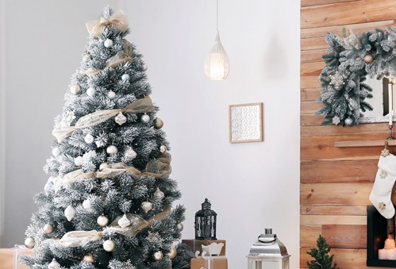 Best Christmas Tree Storage