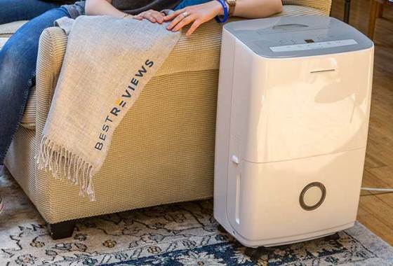 Best Frigidaire Dehumidifiers