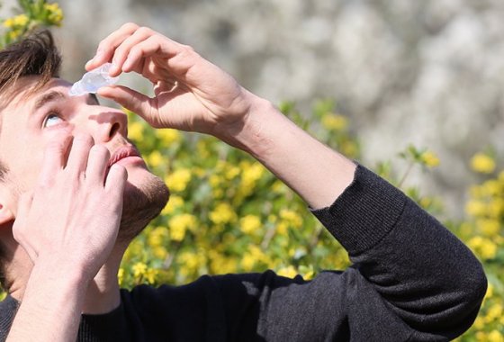 Best Eye Drops for Allergy Relief