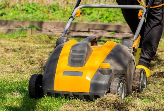 Best Lawn Dethatchers