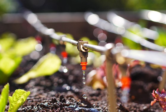 Best Drip Irrigation Kits