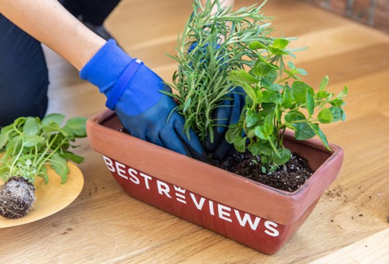Best portable greenhouses