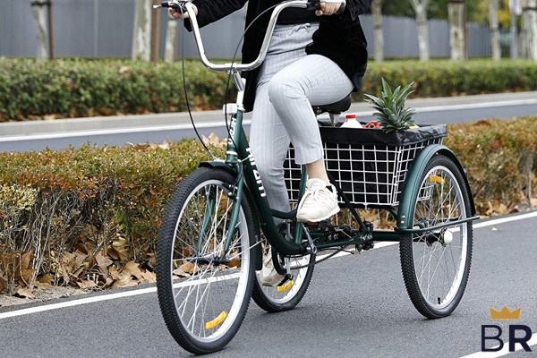 10 Reasons to/NOT to Buy Mophoto Adult Tricycle (Jan 2024)