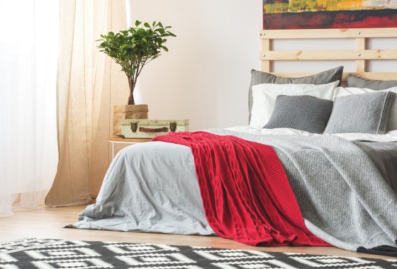 Best red throw blanket