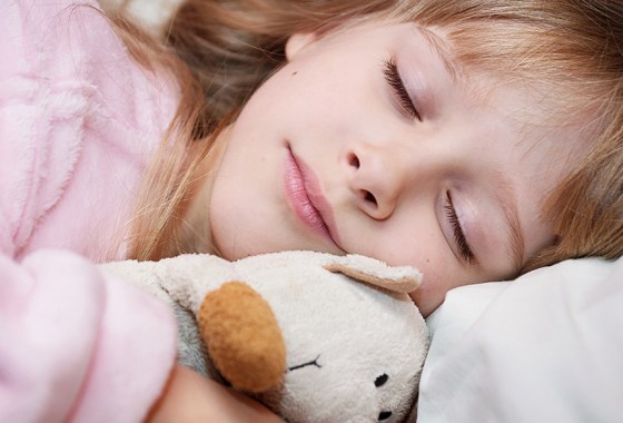 Best Cats Vs. Pickles toys