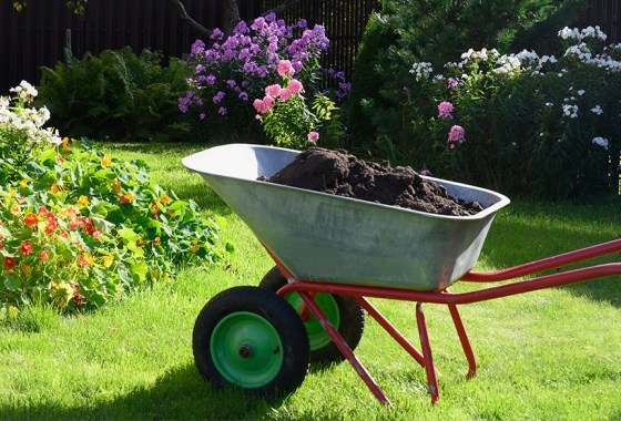 Best fertilizer for fall lawn care
