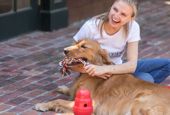 Best Star Wars dog toy