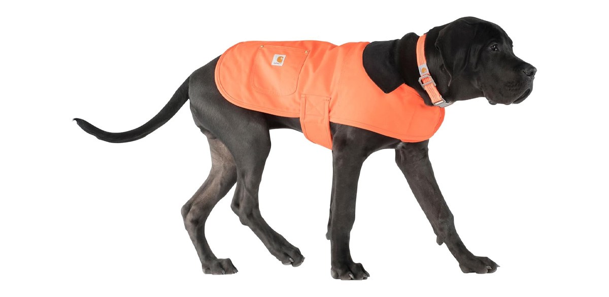Carhartt Firm Duck Insulated Dog Chore Coat Hunter