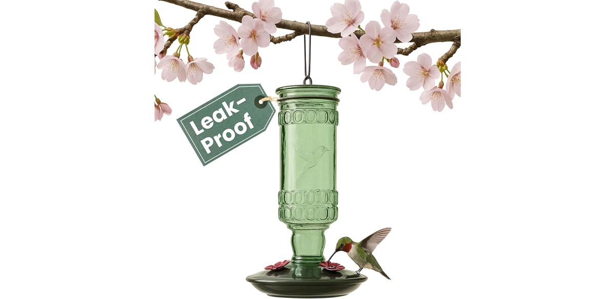 Perky-Pet Glass Bottle Hummingbird Feeder