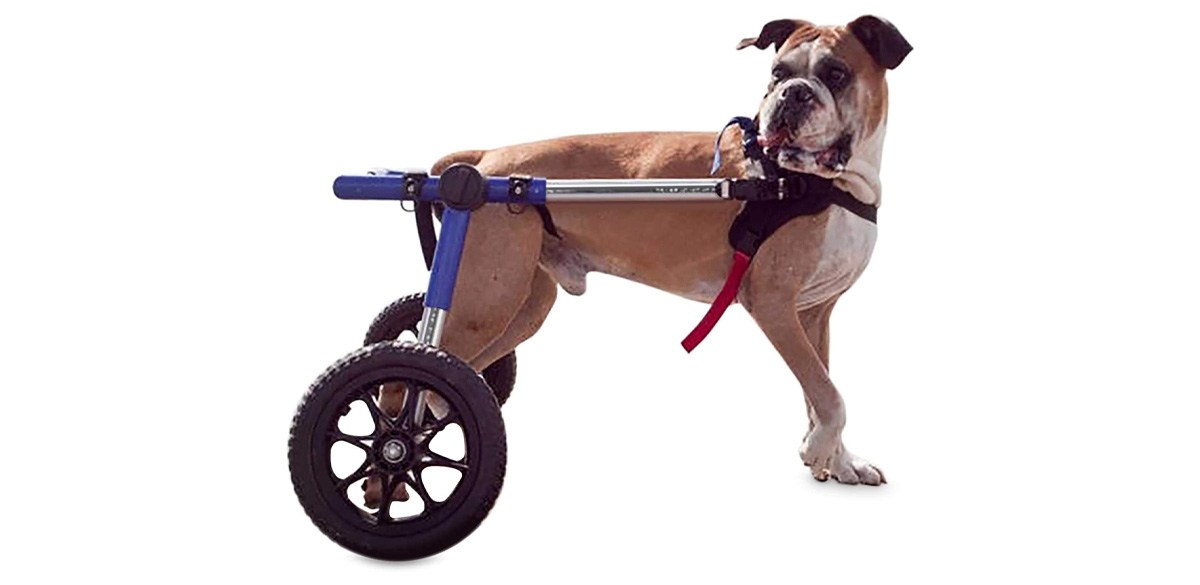 Walkin' Wheels Dog Wheelchair