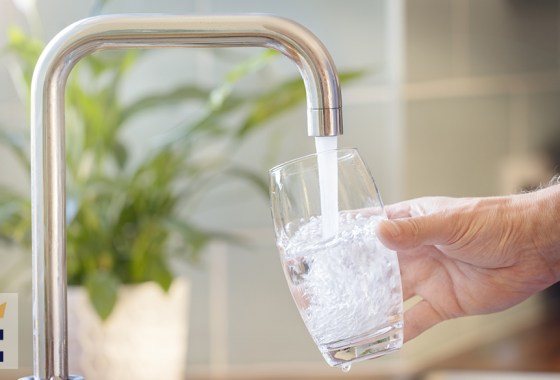 Does a Brita filter remove lead from water?