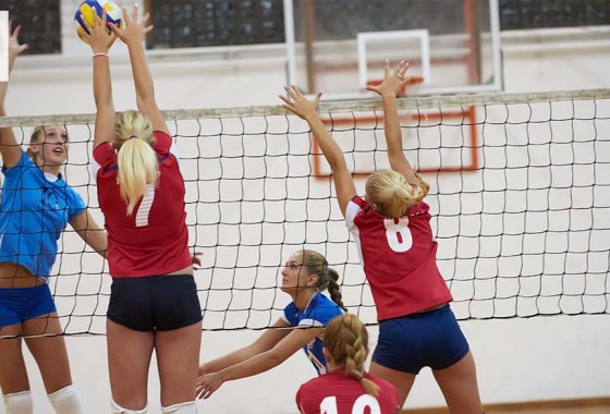 Best women's volleyball shorts