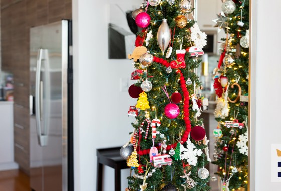 Best skinny Christmas tree