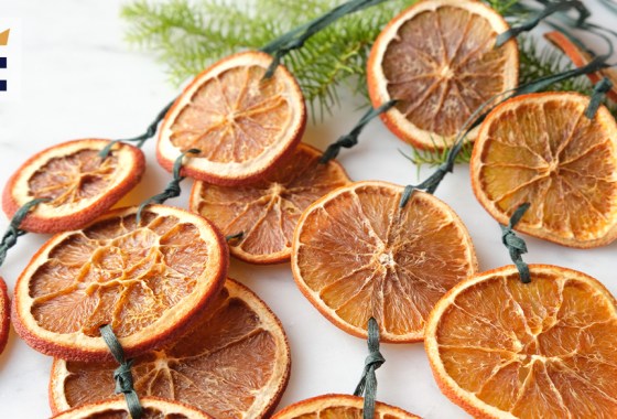 Want to make dried fruit garland? Here are the 7 most popular dehydrators on the market