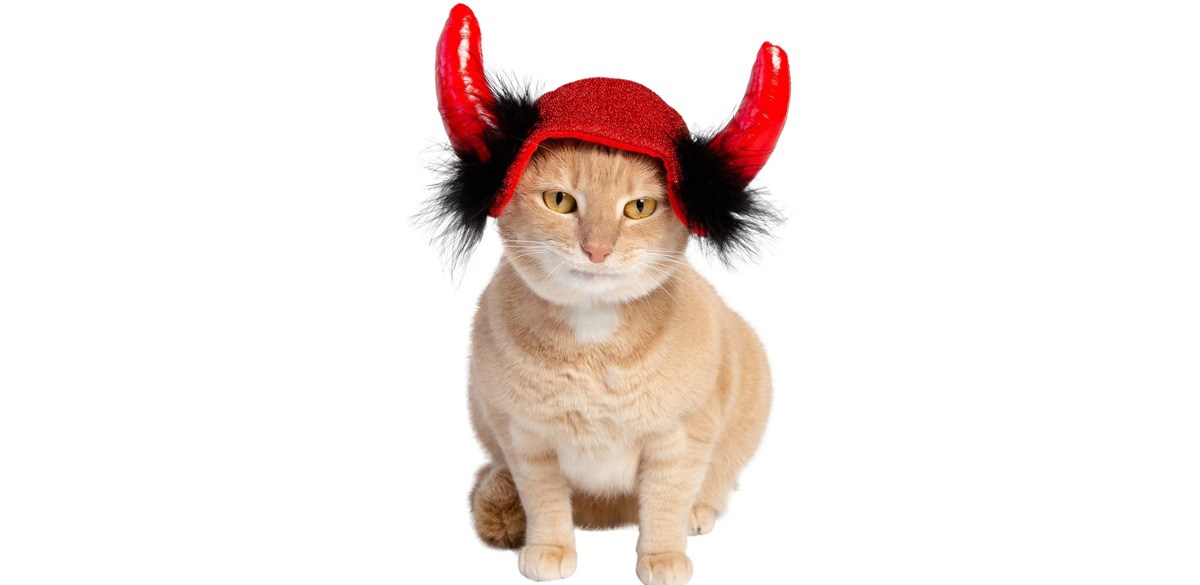 Pet Krewe Cat Devil Red Hat Dog Costume