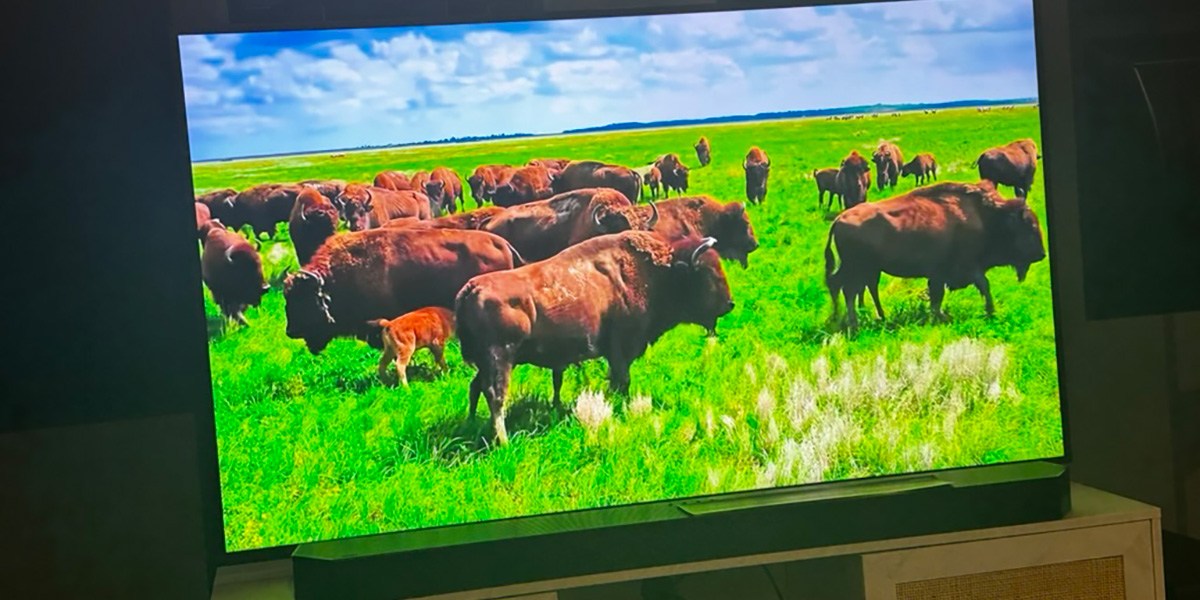 Samsung The Frame with bright image of green pasture with livestock