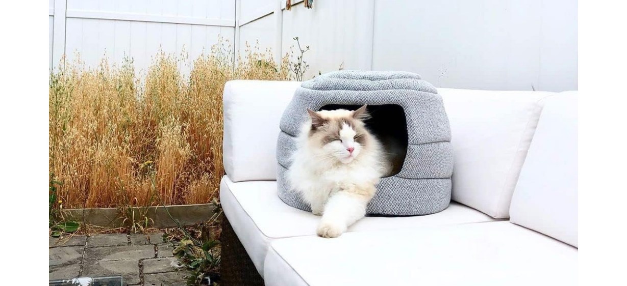 Travel Cat Meowbile Indoor Cat House