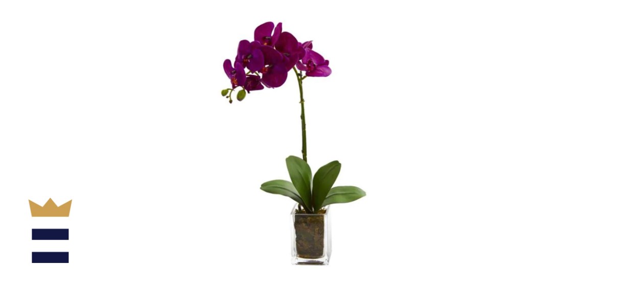 Indoor Orchid Phalaenopsis Artificial Arrangement in Vase