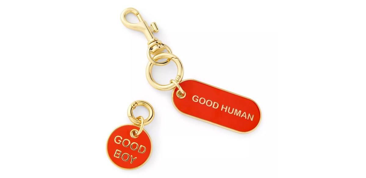Good Human and Good Boy Keychain &amp; Collar Tag Set - Red-Gold - The Cuddle Collab