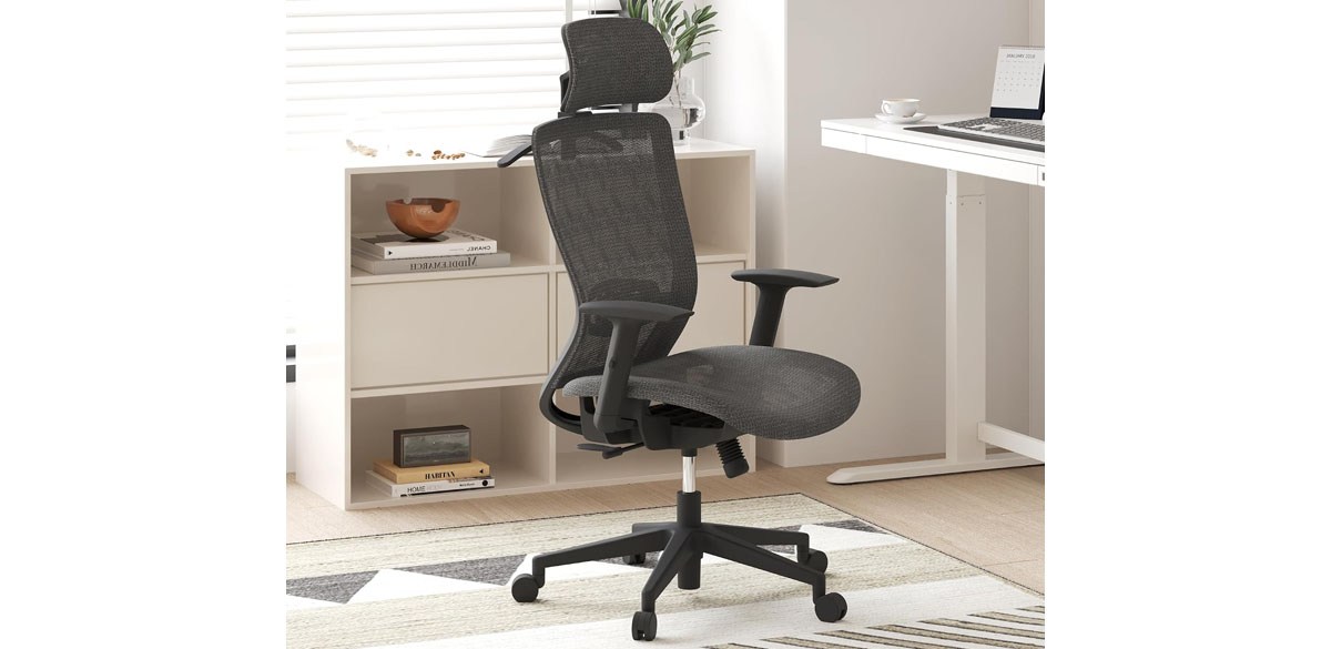 FLEXISPOT Ergonomic Office Chair