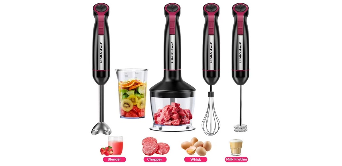 LINKChef Immersion Blender