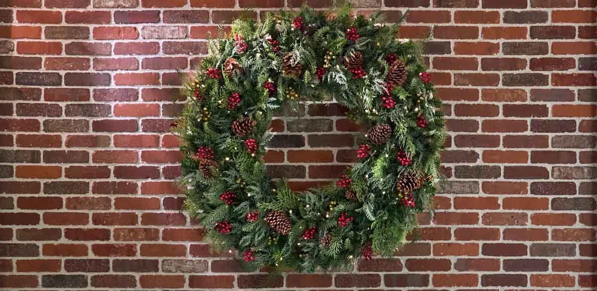 Outdoor Winter Evergreen Foliage