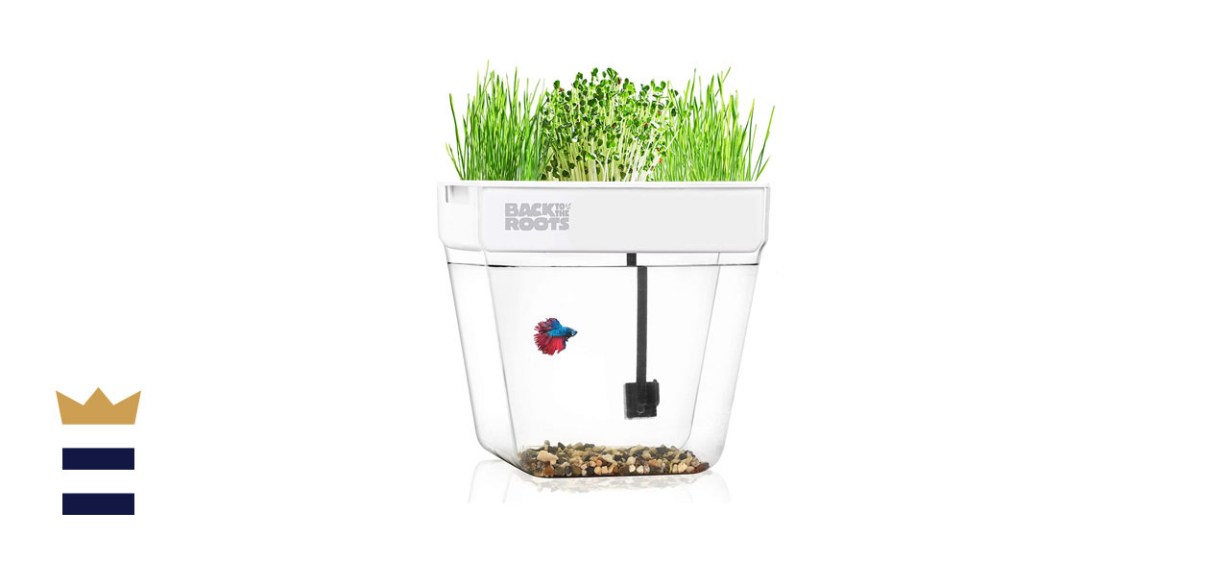 Back to the Roots Water Garden 