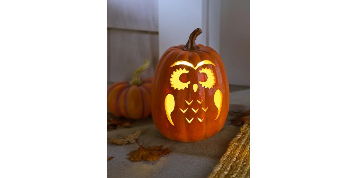 Balsam Hill Outdoor Lit Owl-o'-Lantern