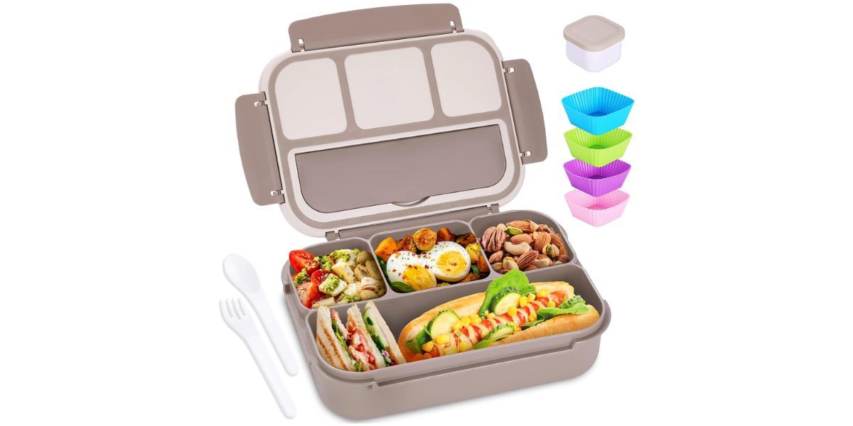 Shell and Turtle Bento Box