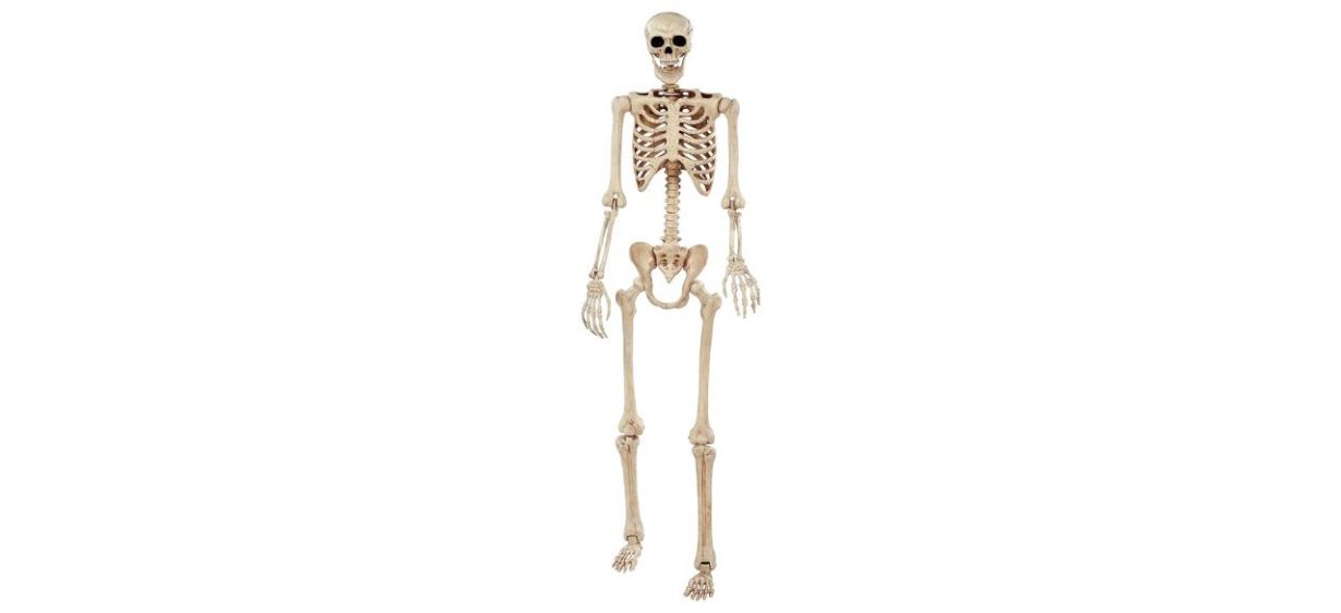 tall skeleton decoration on white background
