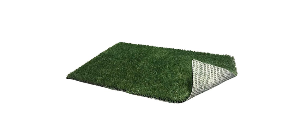 Will your dog only pee on grass? Try these 10 artificial lawn pads