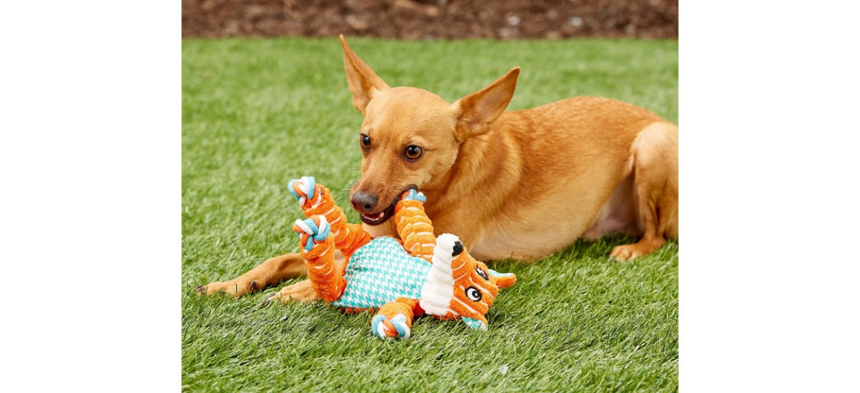 Kong Floppy Knots Dog Toy