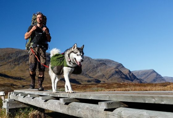 The best dog backpack