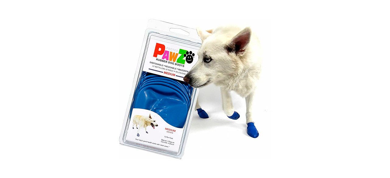 Anti digging sale dog boots