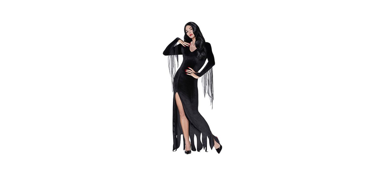 Best Spirit Halloween Morticia Addams Costume