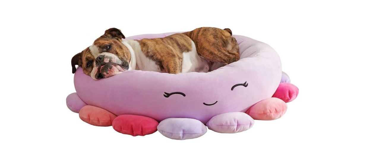 https://cdn13.bestreviews.com/images/v4desktop/image-full-page-cb/best-squishmallow-pet-beds-beula-octopus-24-inch.jpg?p=w1228