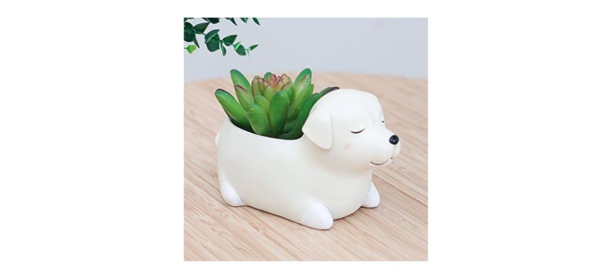 WISH HALLY WOOD Labrador Dog Succulent Planter Pot sitting on table