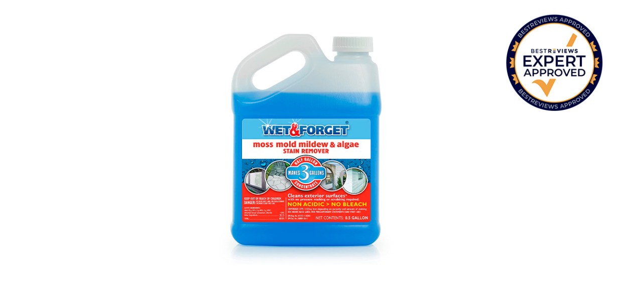 Best Wet and Forget Moss, Mold, Mildew and Algae Stain Remover