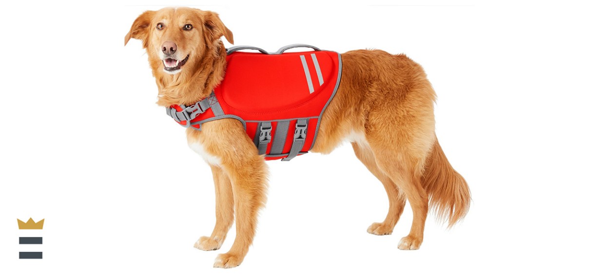 Frisco Neoprene Dog Life Jacket