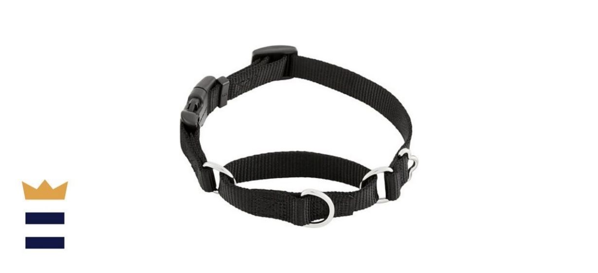 Frisco Nylon Martingale Collar